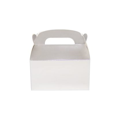 Medium Treat Box - Silver 6 pack